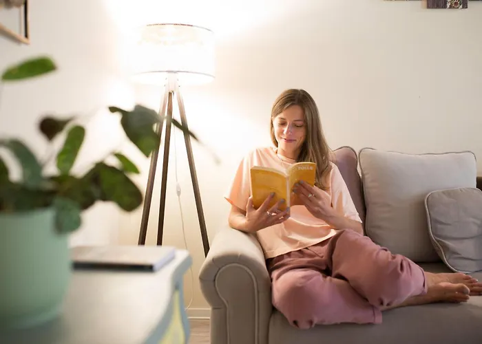 Seek And Hide - Little Julia's Hideaway براشوف